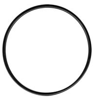 O-Ring zu Filtertasse