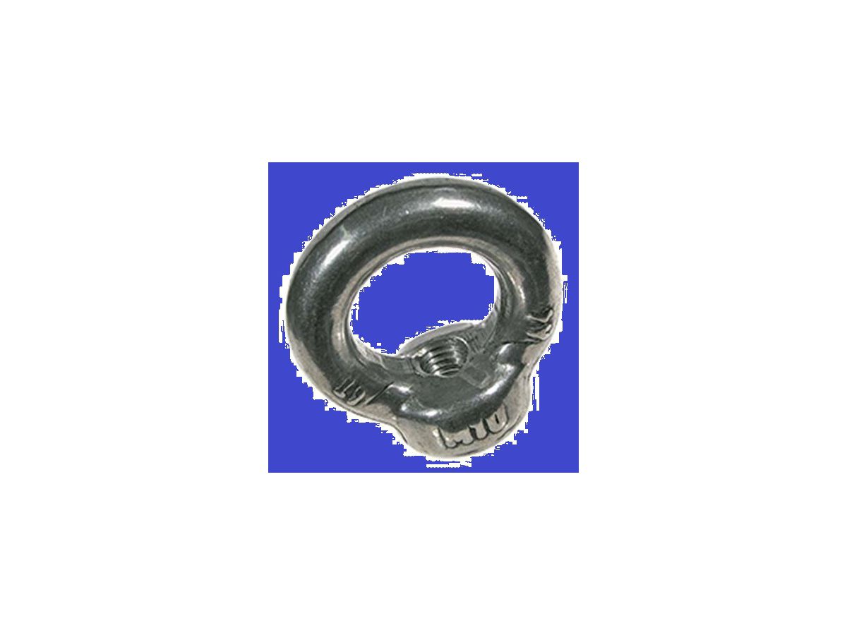Ringmuttern INOX A4 blank gebeizt - DIN 582
