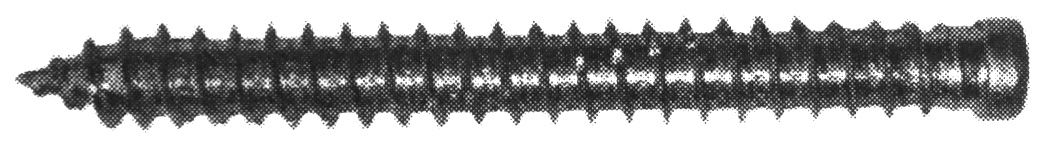 Fensterschr. PFS-ZK blau-verzinkt - Zylinderkopf TX 25