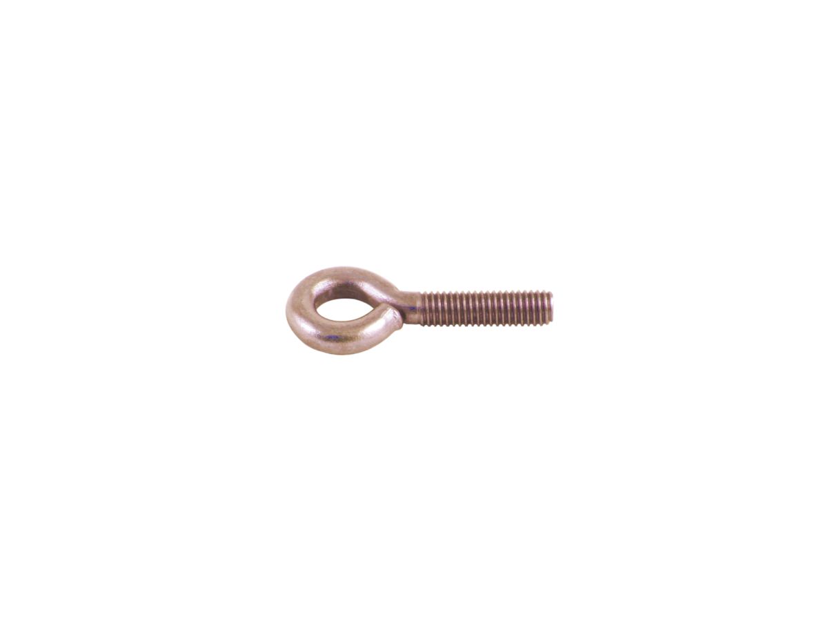 Ringschraube Cr-Ni M6 x 20 mm