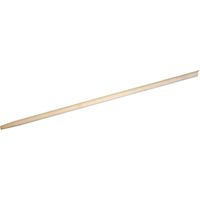 Gerätestiel mit Konus, Länge 160 cm - Ebner, Hartholz Hausgrösse 28mm