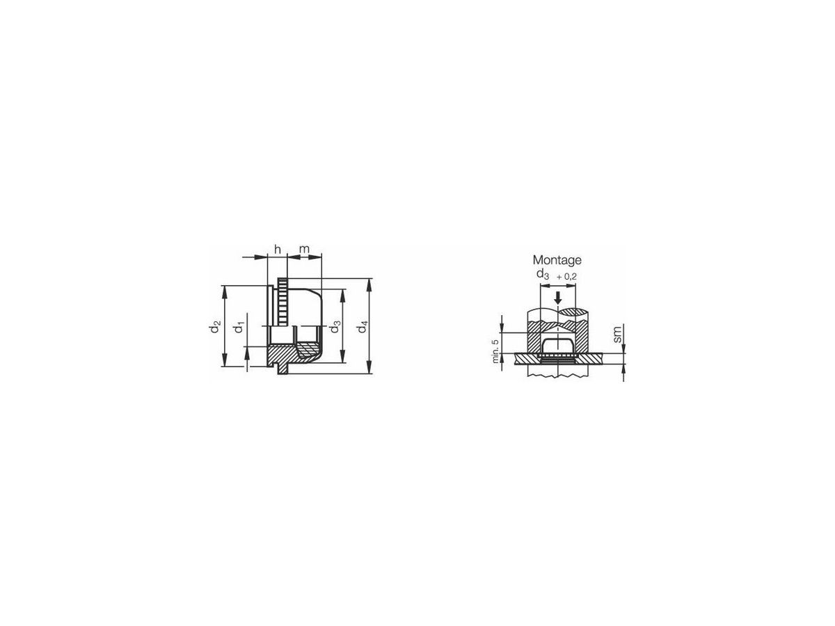 PL-M5 ZI        PEM MUTTERN  P.  1'000