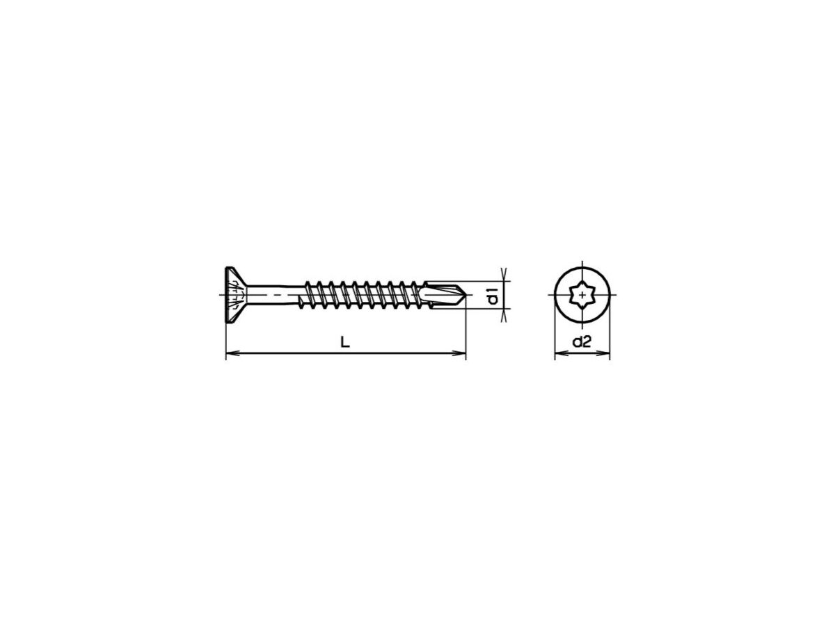 Senk-Holzbohrschrauben Torx - Verzinkt blau, RAL 9010 weiss