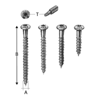 Holzschrauben CSA Torx Pan-Head - mit Spezialschneidgewinde