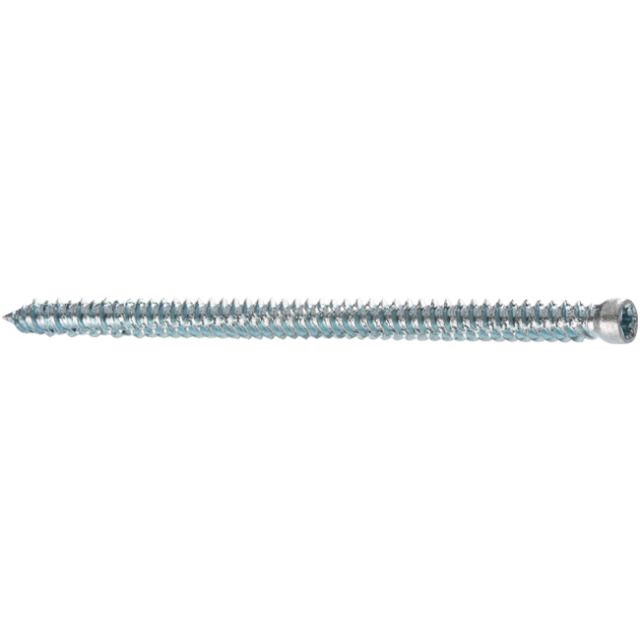 Rahmenschraube PROFIX PRS - Zylinderkopf, mit Antrieb T-Drive. vzb.