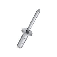 MehrbereichsBlindniete GESIPA PolyGrip - 3.2x8 KL 0.5-5, Alu/Stahl vzb. 1000 Stk.