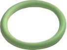O-Ring FPM BIG grün 76.1 mm - für Solar bis 170°