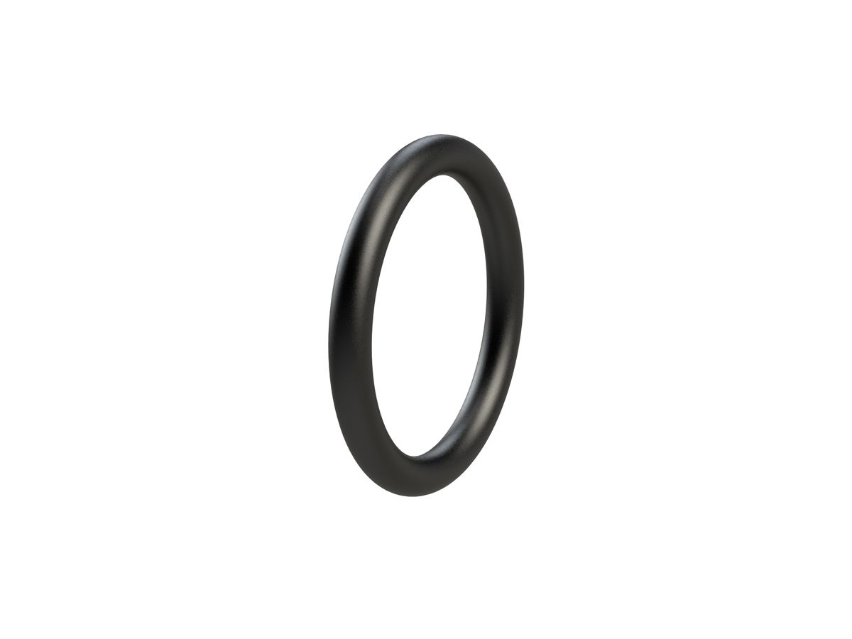 O-Ring NBR 70 schwarz 23.47 x 2.62 mm