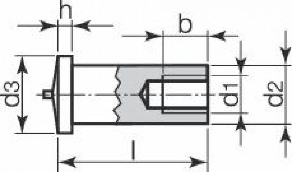 CDS Buchse KN226