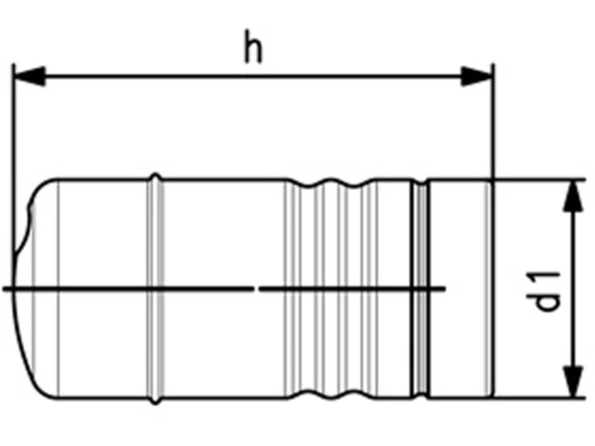 iFIT Kappe für Adapter