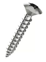 Linsensenk-Spanplattenschrauben Torx - Vernickelt