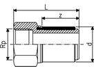 Übergangsadapter mit IG PE/Stahl ELGEF+ - 25-3/4"