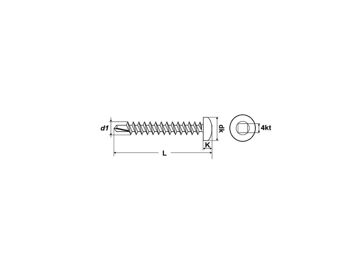 Bohrschraube DIN7504N 4,8 x 38 - Edelstahl, Innenvierkant 500 Stk.