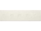 Geberit-Duofix - Aquapaneel Pro - 200 x 60x 1.8cm