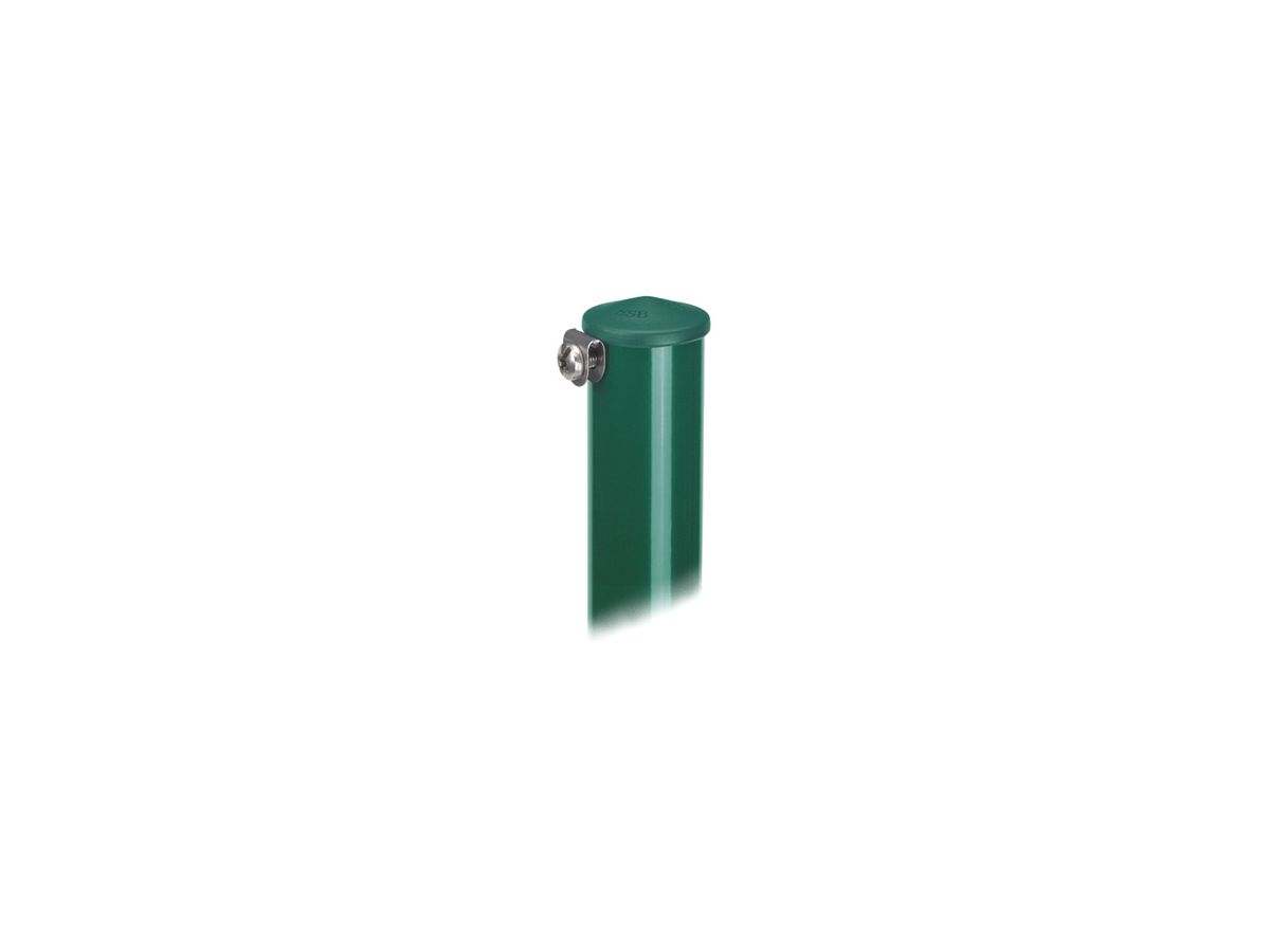 Rohrpfosten grün besch. 42 mm,150/100 cm - mit Kunststoffkappe, rostfr. Schlaufen