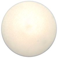 Abdeckkappe TX25/14mm RAL 9016 - für Schrägmontagen bis 20° 50 Stk.