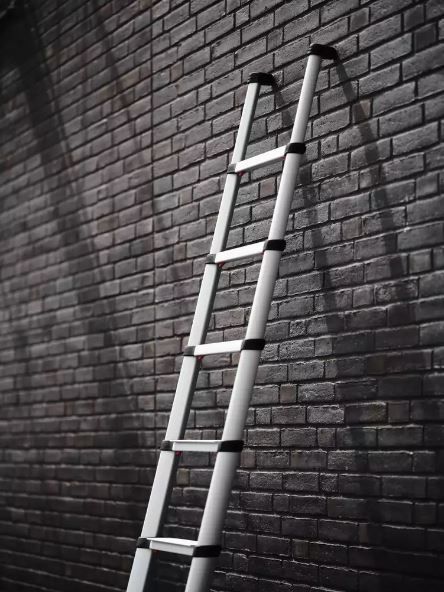TELESTEPS Teleskopleiter Prime - Länge 2.6m Breite 80cm, 8 Stufenzahl