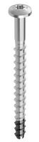 Betonschrauben Multi-Monti MM-plus P - rostfrei (1.4401), PanHead mit T-Drive