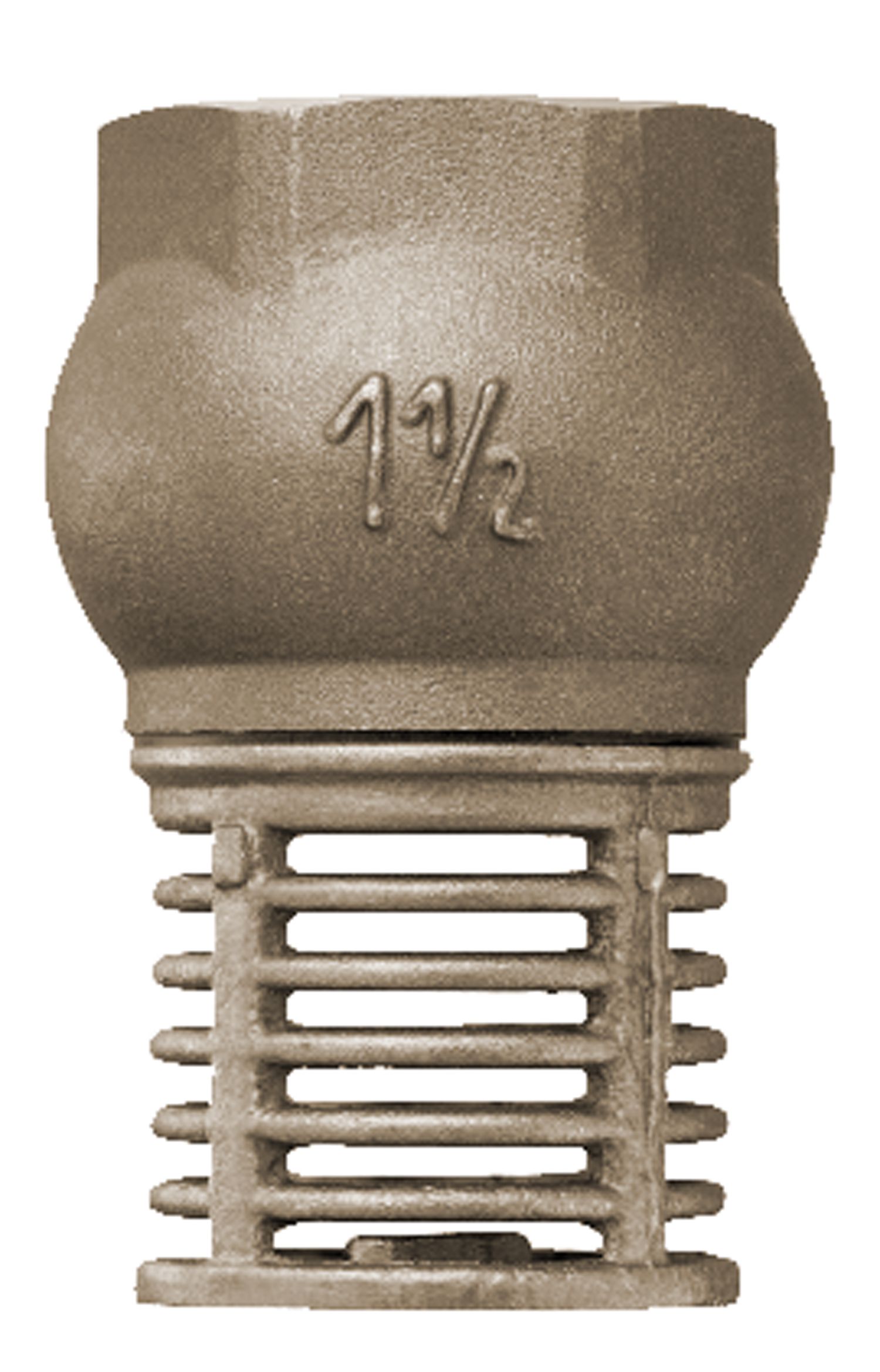 Bodenfilter NUSSBAUM
