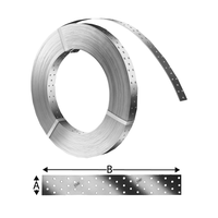 Windrispenband BAN verzinkt