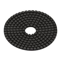 Diamantschleifpad WET D100 - FLEX