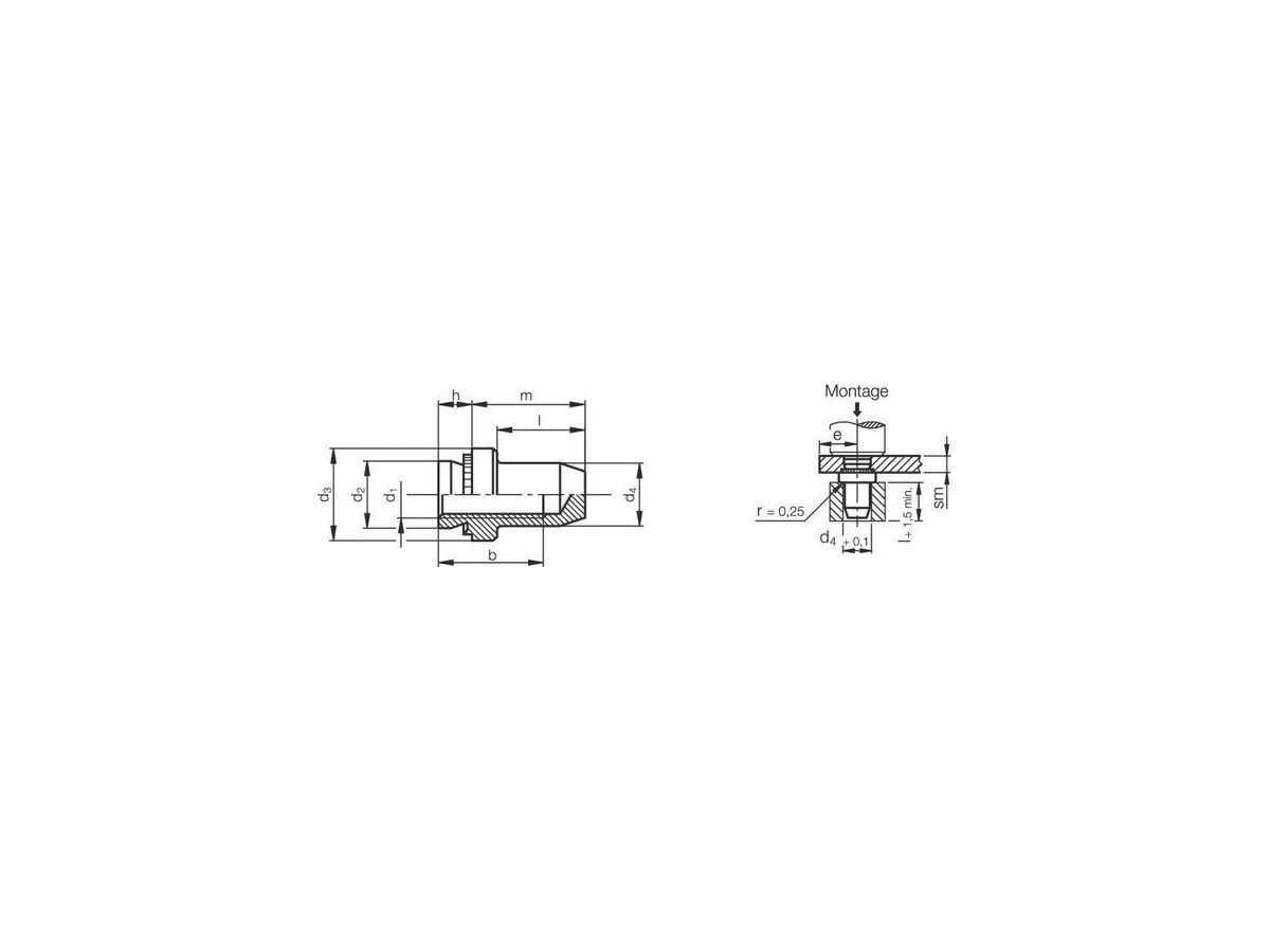 B-M6-1 ZI       PEM MUTTERN    P.   1000