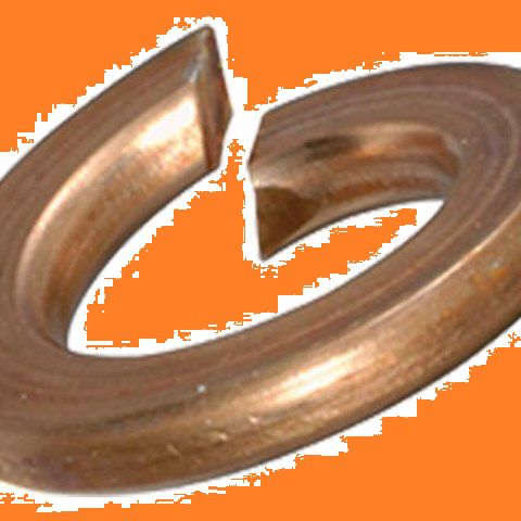 Federringe Enden glatt Federbronze - DIN 127B