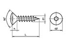 Linsensenk-Spanplattenschrauben Torx - Vernickelt