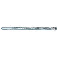 Rahmenschraube PROFIX PRS - Zylinderkopf, mit Antrieb T-Drive. vzb.