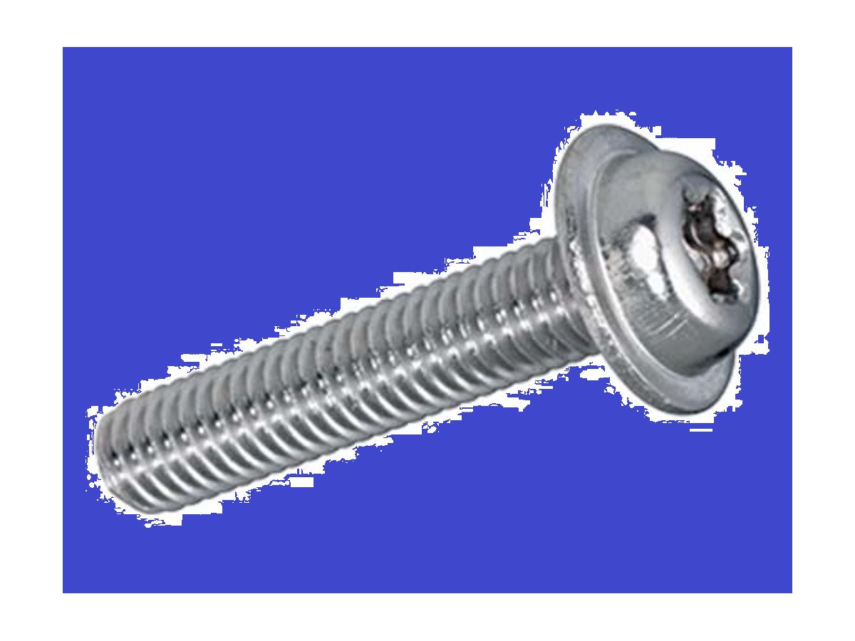 Linsenschrauben I-6ru A2 M5x10 - Pak à 100 Stk, ecosyn-fix