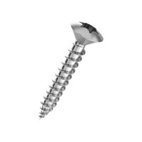 Spanplattenschrauben Linsensenkkopf - Inox A2