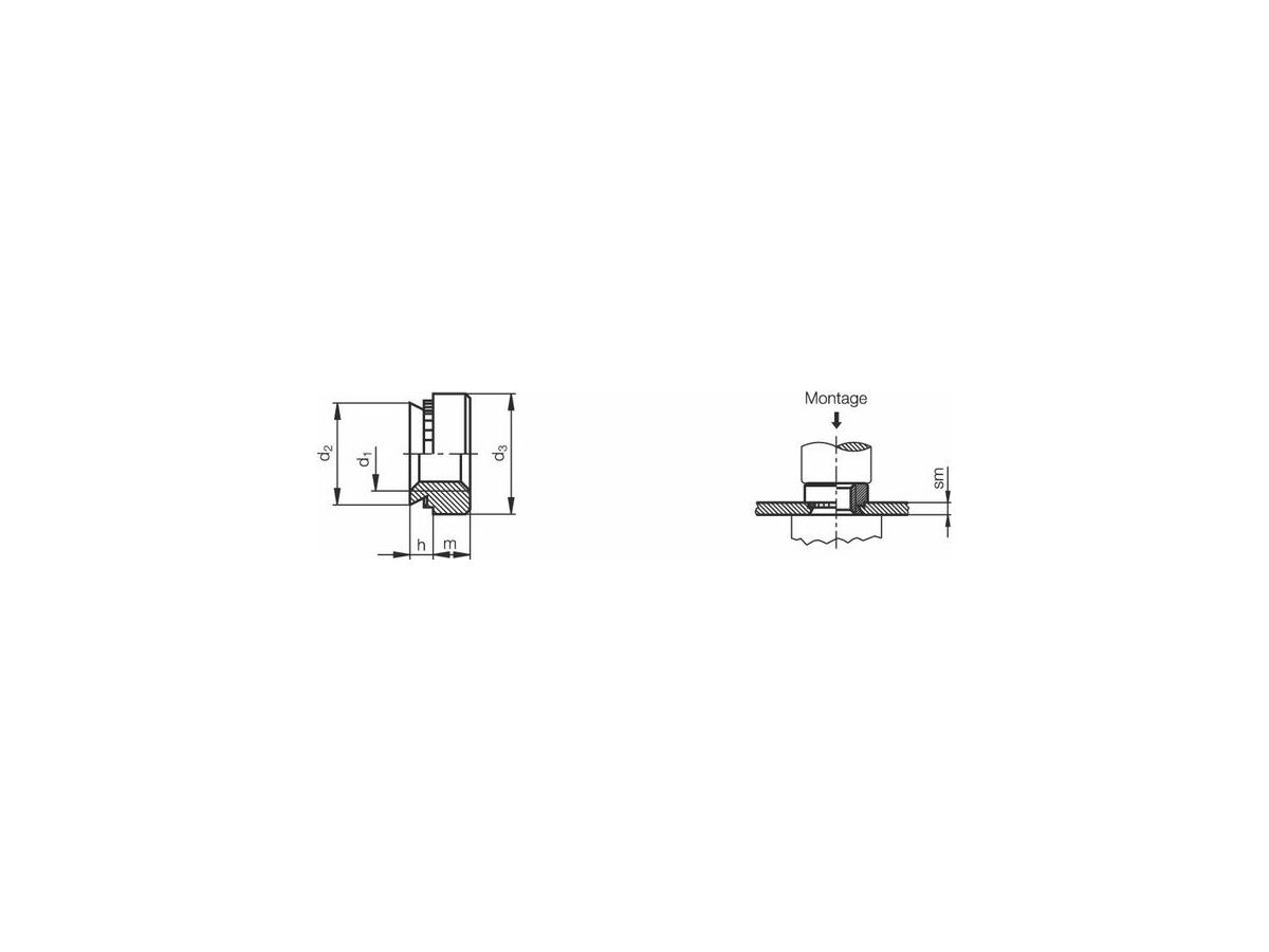 PEM Muttern CLSS-M