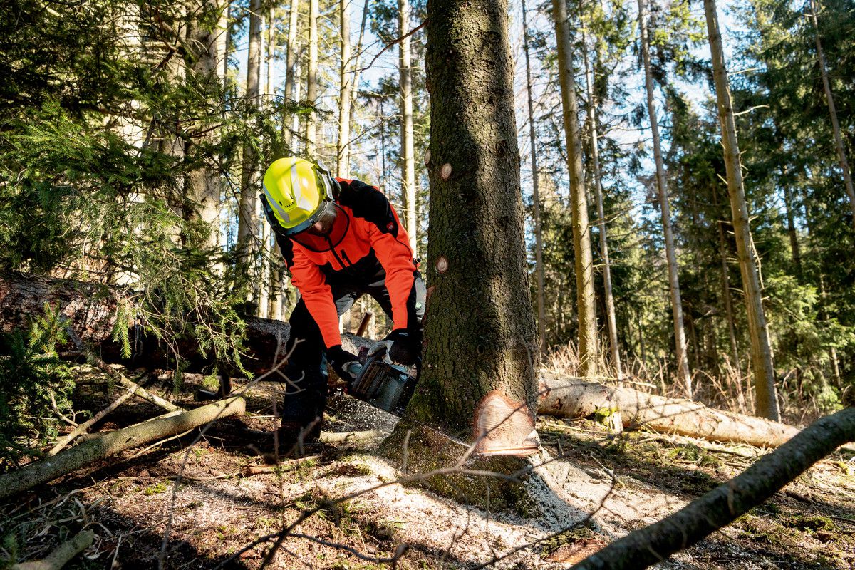 Akku-Kettensäge 18V MS36-18 LTX BL40 - Metabo, im Karton