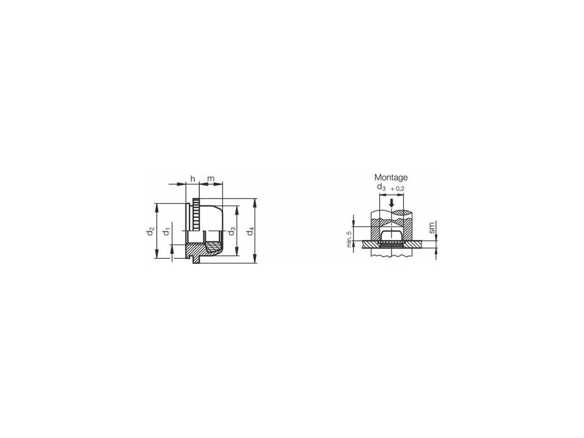 PEM Muttern PLC-M