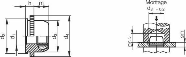 PEM Muttern PLC-M