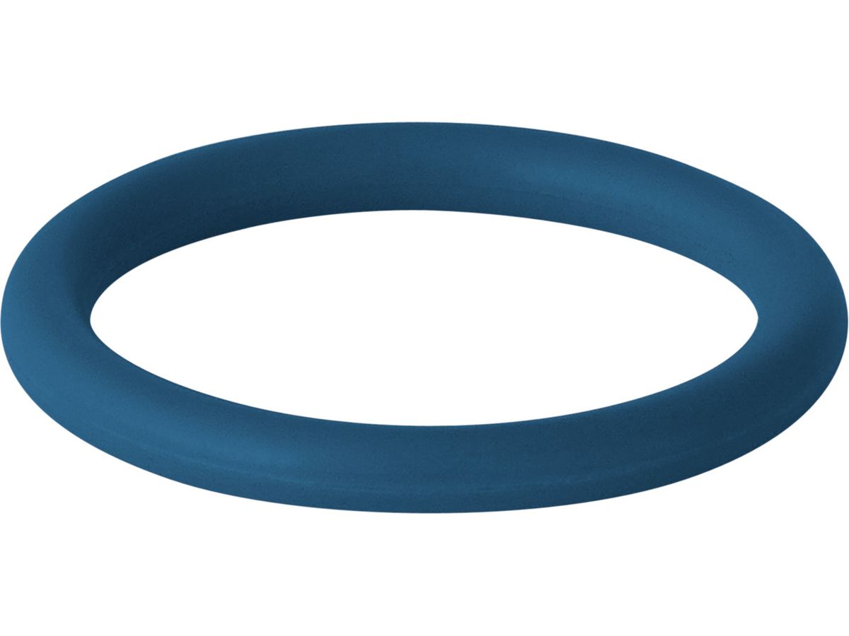 MPF-O-Ring FKM blau 108 mm - -20 bis +140 °C