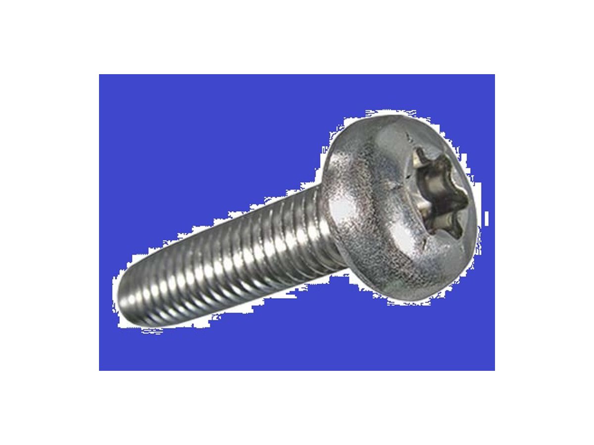 Gewindefurchende Linsenschraub. INOX A2 - Kopf ISO 14583 DIN 7500 mit Gleitschicht