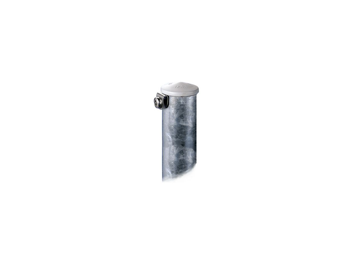 Rohrpfosten feuerverz. 60 mm-2" 250 cm - mit Kunststoffkappe, rostfr. Schlaufen