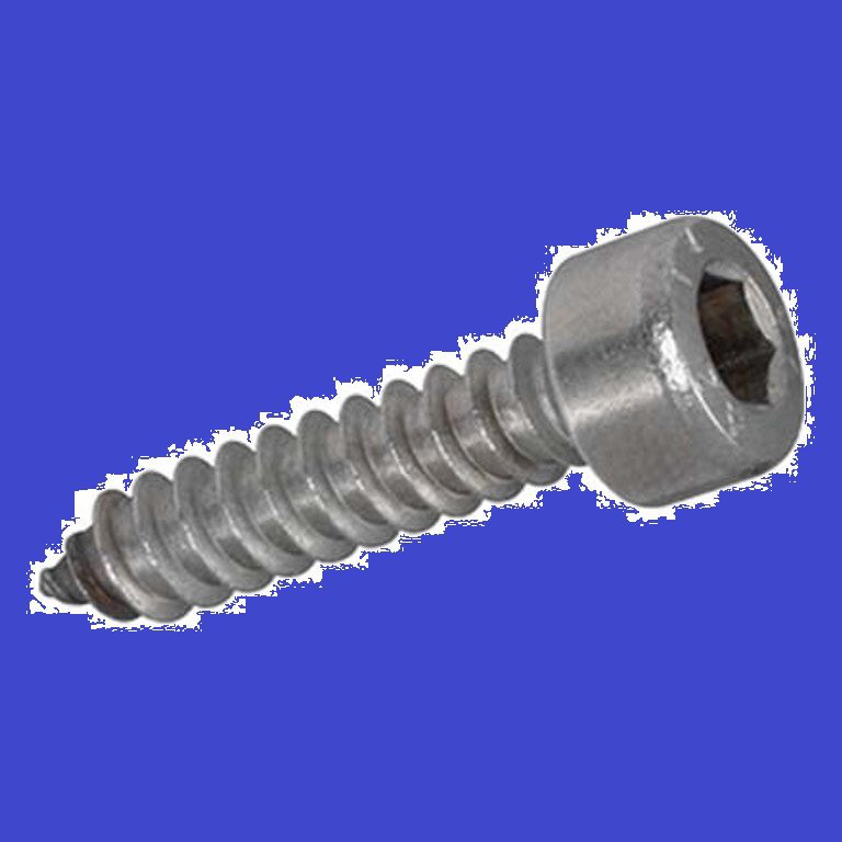 Zylind.-Blechschr. Spitze Form C INOX A2 - Kopf DIN 912 mit Innensechskant