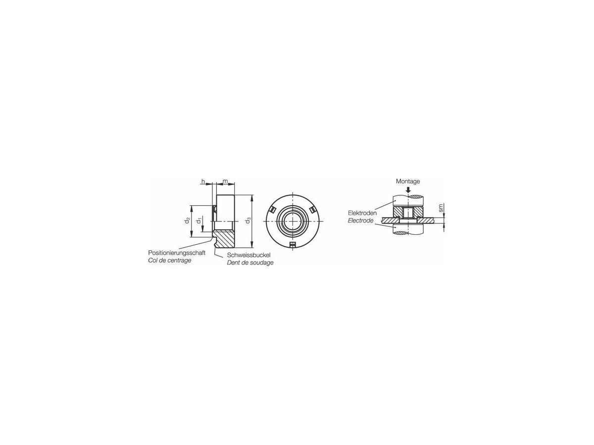 PEM Muttern WN-M