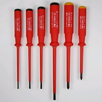Schraubenzieher PB 5543C