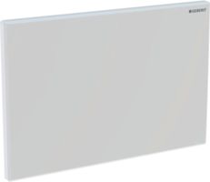 Abdeckplatte, zu Geberit Hygienespülung