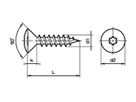 Linsensenk-Spanplattenschrauben Torx - Vermessingt, ohne Schaft