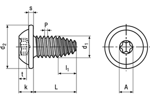 Gewindefurchende Linsenschrauben Torx - verz.blau SHEETtracs WN 5251